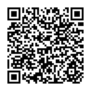 QR Code for Irrigated Crop Production in Pakistan: Problems and Problems and Prospects for the Indus Food Machine