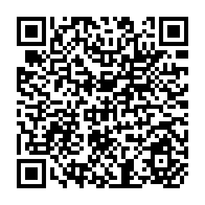QR Code for Irrigation System Management Diagnosis and Improvement Methodologies Developed in the Philippines