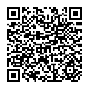 QR Code for Energy Productivity: A Measure of Energy Utilisation in Agricultural Systems