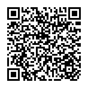QR Code for Producing an Adequate National Doet in India: Issues Relating to Conversion Efficiency and Dairying