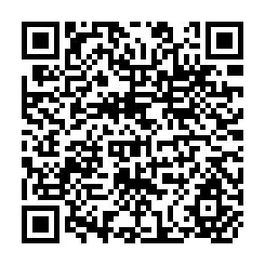 QR Code for The Organization of Farm-Level Irrigation in India