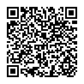 QR Code for Some Findings on Water Distribution within the Tertiaries of a Gravity Irrigation System