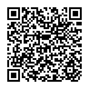 QR Code for Returns to Irrigation Investments in Central Luzon, Philippines