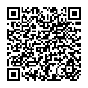 QR Code for Energy and Land Constraints in Food Protein Production