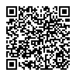 QR Code for Development,Equity, and Level of Living in Peninsular Malaysia