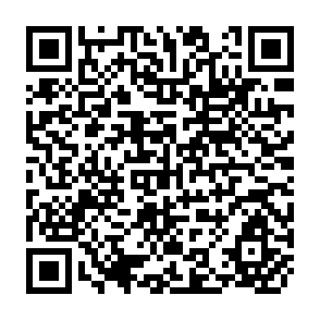 QR Code for Third World Development: Food, Employment and Growth Interactions