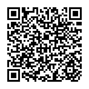 QR Code for Energy Input and Agricultural PrODUCTION Under Varios Regimes of Mechanization in Northern India