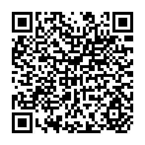 QR Code for Basic Needs and the Division of Labour