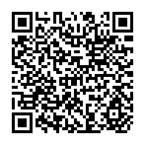QR Code for The Distinctive Features of a Basic Needs Approach to Development