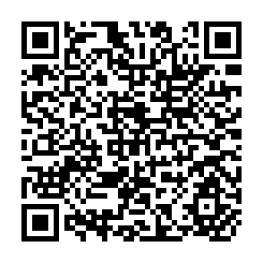 QR Code for The Rural Non-Farm Sector in Asia