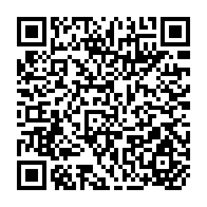 QR Code for Database Design Methodology