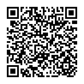 QR Code for Strategic Data-Planning Methodologies
