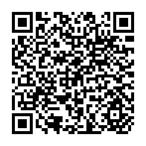 QR Code for Planning in Developing Countries Lessons of Experience