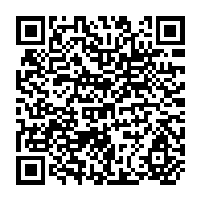 QR Code for Financing Small-scale Industry and Agriculture in Developing Countries