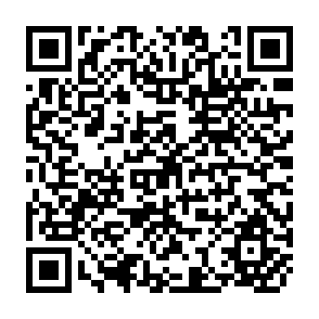 QR Code for Handbook of Household Surveys (Recised Edition)