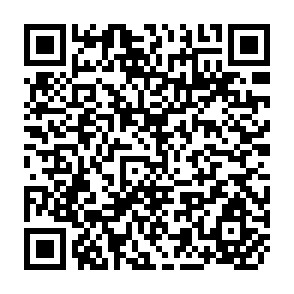 QR Code for Bureaucratic Politics and Incentives in the Management of Rural Development