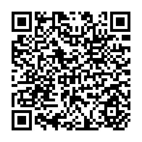 QR Code for Fourth Government Consultation for Asia and the Southwest Pacific on Follow-up of the World Conference on Agrarian Reform and Rural Development