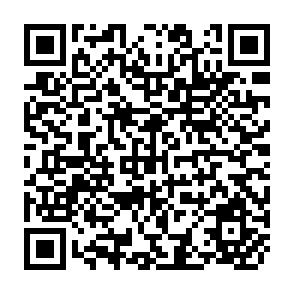 QR Code for International Statistical Institute 45th Session