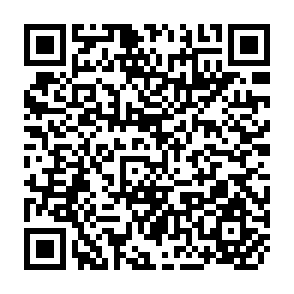 QR Code for International Computer-Based Conference on Biotechnology - A Case Study