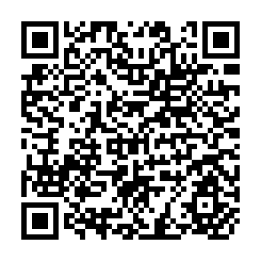 QR Code for Factors in Carrying out Land Reform: Cadastre