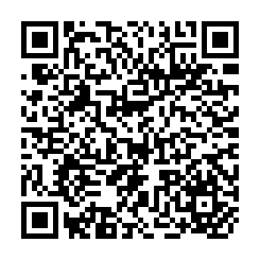 QR Code for The social sciences and development in Africa