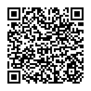 QR Code for The Impact of the Green Revolution and Prospects for the Future
