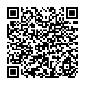 QR Code for The third World and the International Economic Order