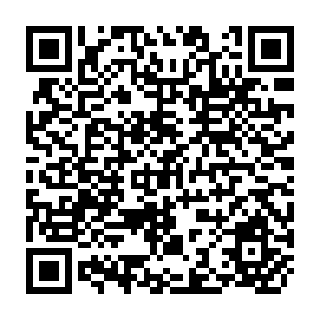 QR Code for Monitoring and Evaluation of an Irrigation System