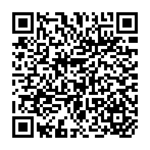 QR Code for Investiagative Methods in Library and Information Science: an Introduction