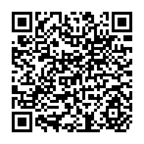 QR Code for The Art Of Abstracting