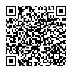 QR Code for The Endless Day