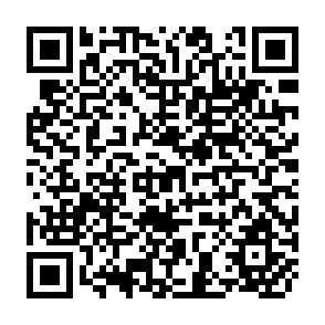 QR Code for Basic Needs and Development