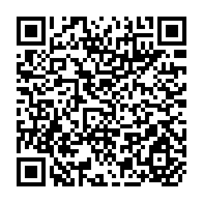 QR Code for Database Security and Integrity