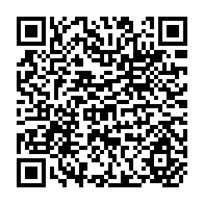 QR Code for The Stigma of Poverty- A Critique of Poverty Theories and Policies (2nd Edition)