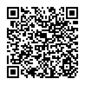 QR Code for The Role of Markets in the World Food Economy