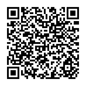 QR Code for Modern Data Analysis