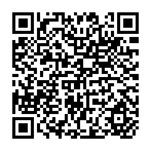QR Code for The economics of land reform and farm size in india