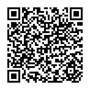 QR Code for The Economics of Tractors in South Asia