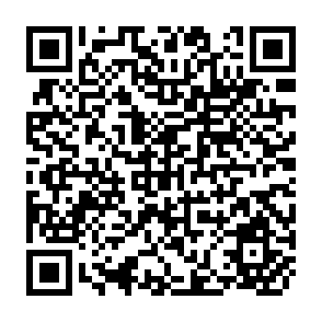 QR Code for Boron Toxicity in Rice