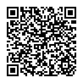 QR Code for Cornell/ International Agricultural Economics Study: Assisting Informal- Sector Microenterprises in Developing Countries