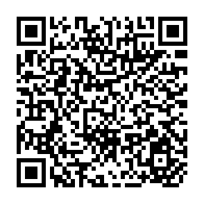 QR Code for Food Market Improvement Planning in Developing Economies
