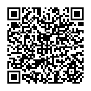 QR Code for Agricultural Systems Research for Developing Countries