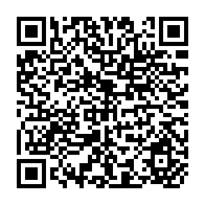 QR Code for Government Expenditure on Agriculture in Latin America