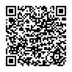 QR Code for Macroeconomic Theory