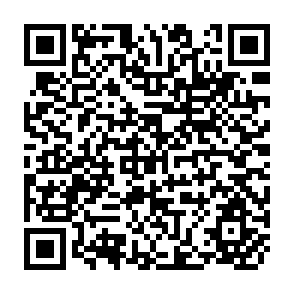 QR Code for Report on Research and Development 1984/85