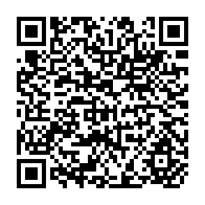 QR Code for Food and Nutrition Education in the Primary School