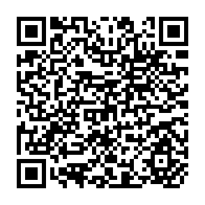 QR Code for An Ecomomic Perspective of Crop Diversification in Rainfed Areas: Implications to National and Regional Planning