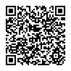 QR Code for Developing Planning Lessons of Experience