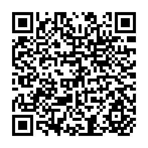 QR Code for Scheduling the Operations of the Bhakra System