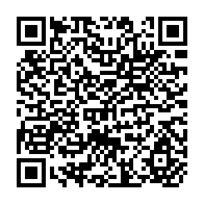 QR Code for Marketing Costs and Margins for Fertilisers in Developing Countries